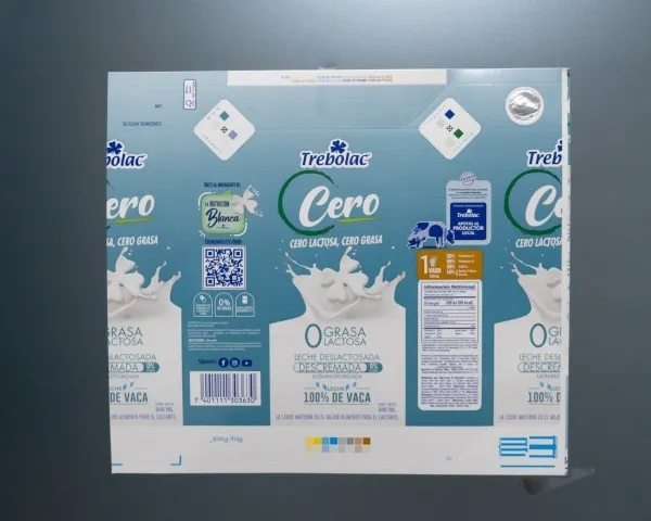 Aseptic Bag in Drum