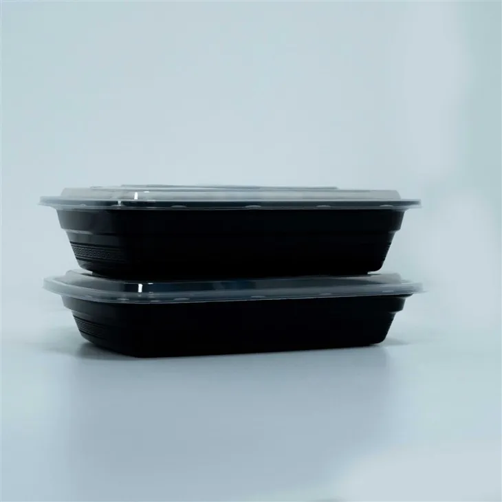Disposable Tupperware Alternative - Single-Use Lunch Boxes (5)