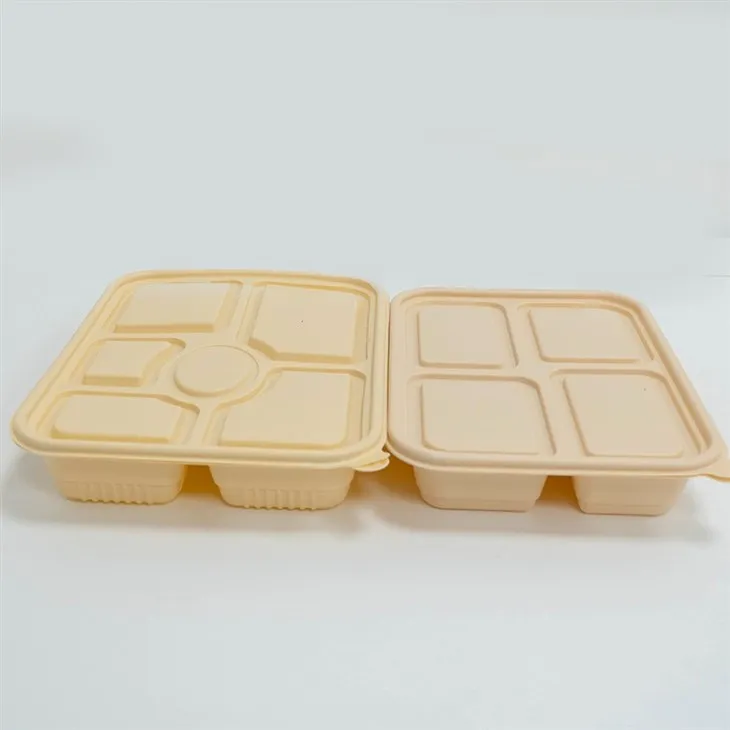 Durable Biodegradable Divided Containers - For Reliable Food Service (7) Durable Biodegradable Divided Containers - For Reliable Food Service (7)