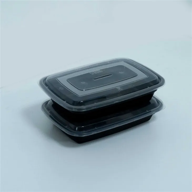 Eco-Friendly 750ml & 1000ml Disposable Lunch Boxes - Ideal for Takeout (1)