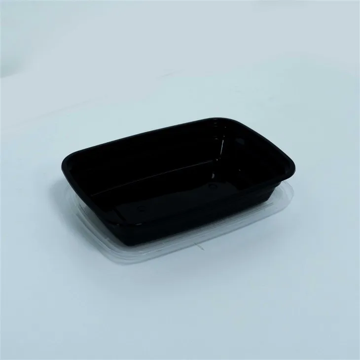 Elegant Disposable Lunch Boxes - Elevate Your Takeaway Presentation (4)