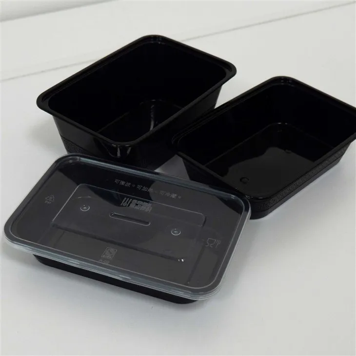 Elegant Plastic Food Boxes - Perfect for Formal Dining Occasions (3)