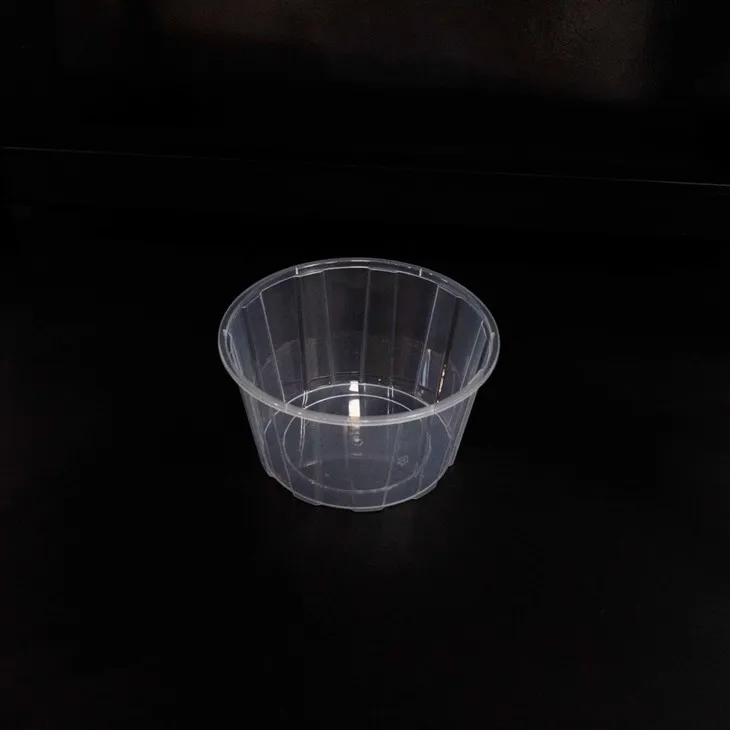 Heat-Resistant Plastic Bowls - Ideal for Hot Dishes (10)