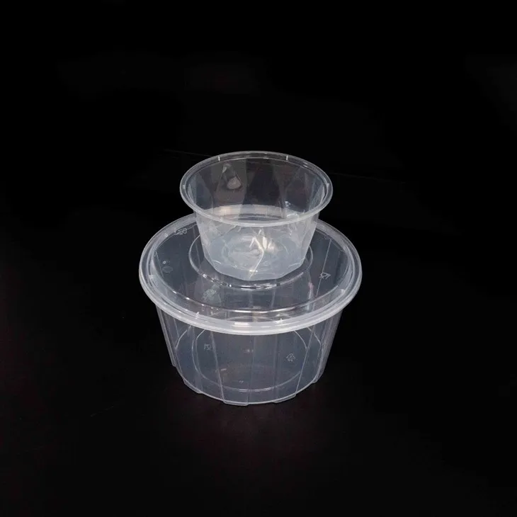Large Capacity Plastic Bowls - Perfect for Bulk Food Service (2) Large Capacity Plastic Bowls - Perfect for Bulk Food Service (2)