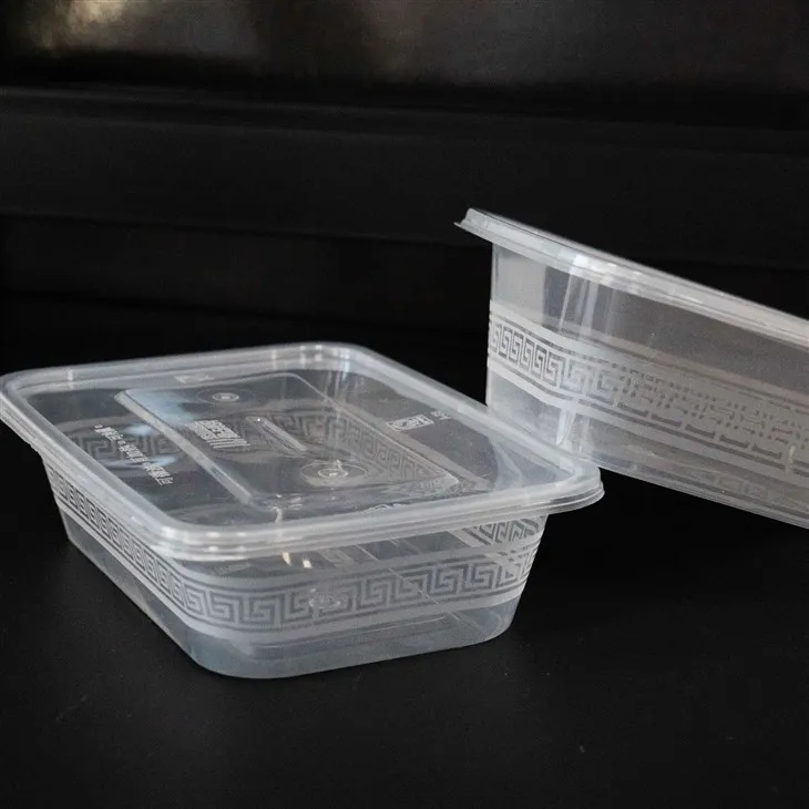 Plastic Food Boxes for Daily Use - Designed for Home and Office (2)